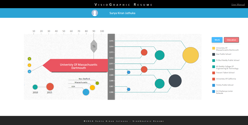 VisioGraphic Resume1