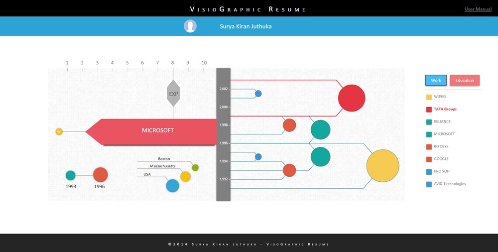 VisioGraphic Resume4